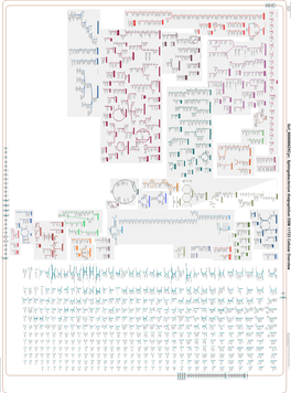 Generated by SRI International Pathway Tools Version 25.0, Authors S