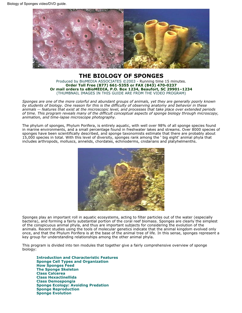 Biology of Sponges Video/DVD Guide