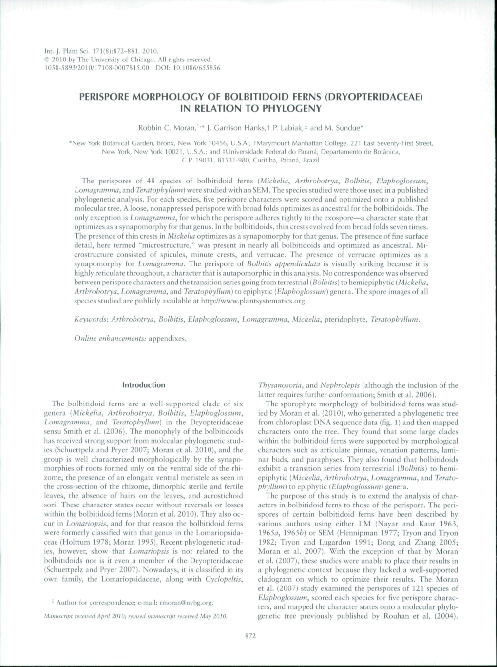 Perispore Morphology of Bolbitidoid Ferns (Dryopteridaceae) in Relation to Phylogeny