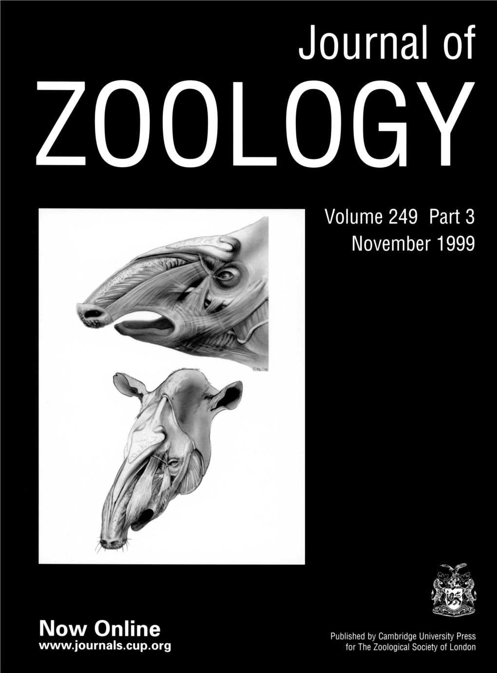 The Proboscis of Tapirs (Mammalia: Perissodactyla): a Case Study in Novel Narial Anatomy