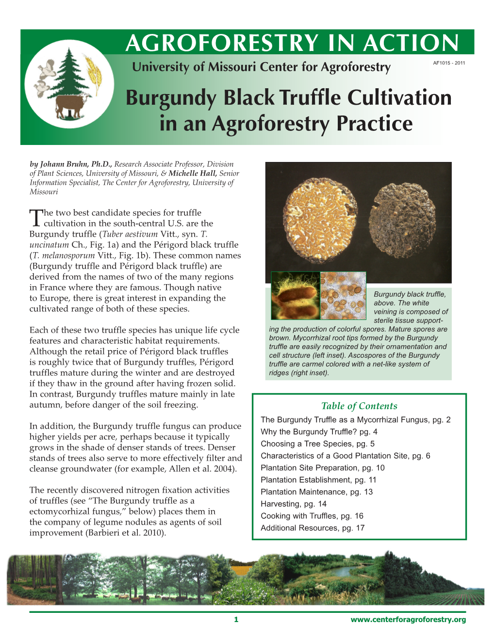 Burgundy Black Truffle Cultivation in an Agroforestry Practice –