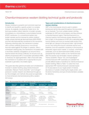 Chemiluminescence Western Blotting Technical Guide and Protocols