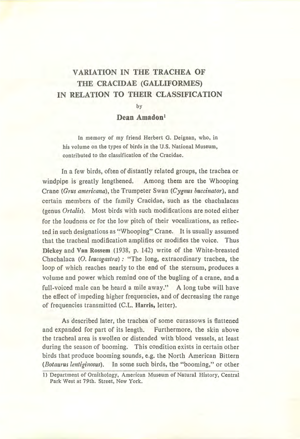 VARIATION in the TRACHEA of the CRACIDAE (GALLIFORMES) in RELATION to THEIR CLASSIFICATION by Dean Amadon 1