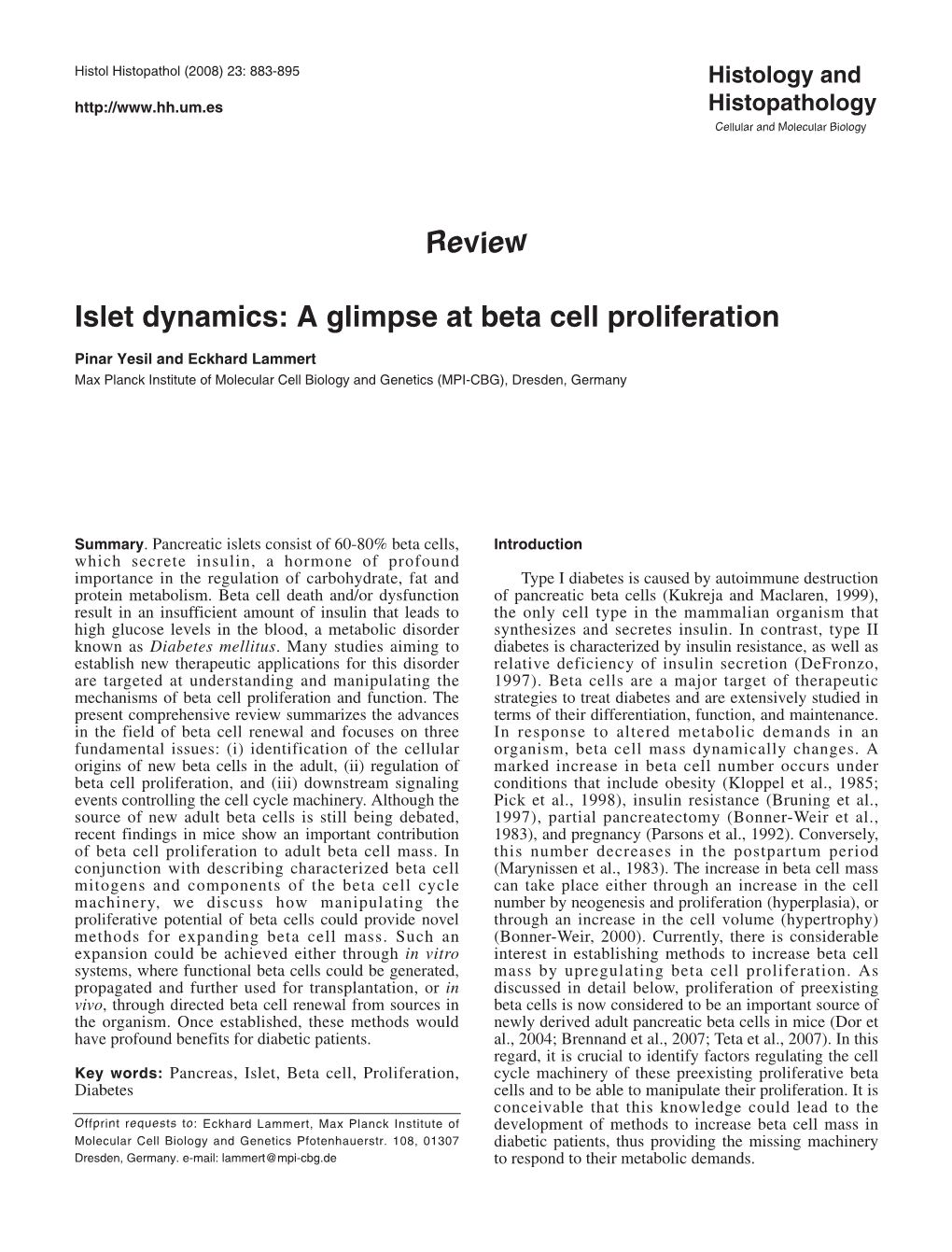 Review Islet Dynamics: a Glimpse at Beta Cell Proliferation