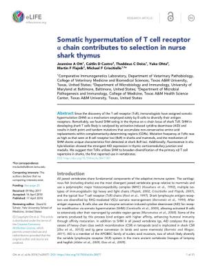 Somatic Hypermutation of T Cell Receptor a Chain Contributes To