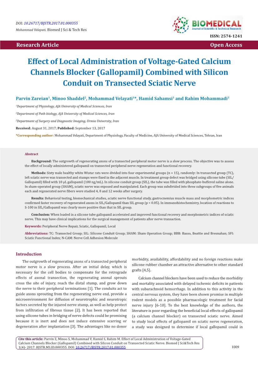 Effect of Local Administration of Voltage-Gated Calcium Channels Blocker (Gallopamil) Combined with Silicon Conduit on Transected Sciatic Nerve
