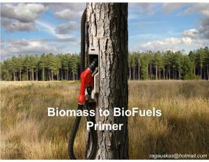 Biomass to Biofuels Primer