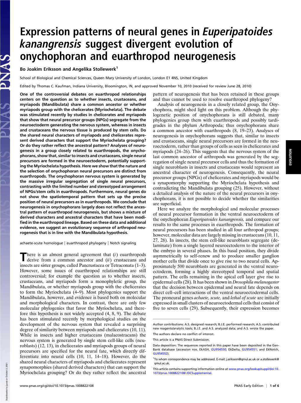 Expression Patterns of Neural Genes in Euperipatoides Kanangrensis Suggest Divergent Evolution of Onychophoran and Euarthropod Neurogenesis