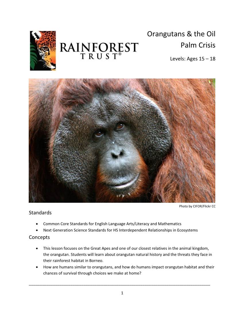 Orangutans & the Oil Palm Crisis