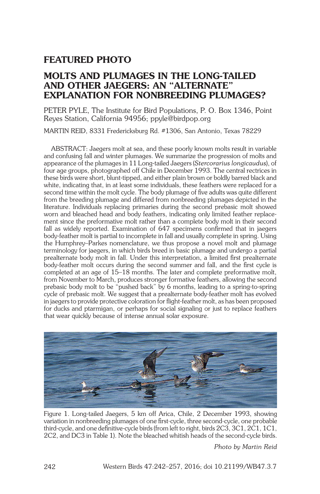 MOLTS and PLUMAGES in the LONG-TAILED and OTHER JAEGERS: an “ALTERNATE” EXPLANATION for NONBREEDING PLUMAGES? PETER PYLE, the Institute for Bird Populations, P