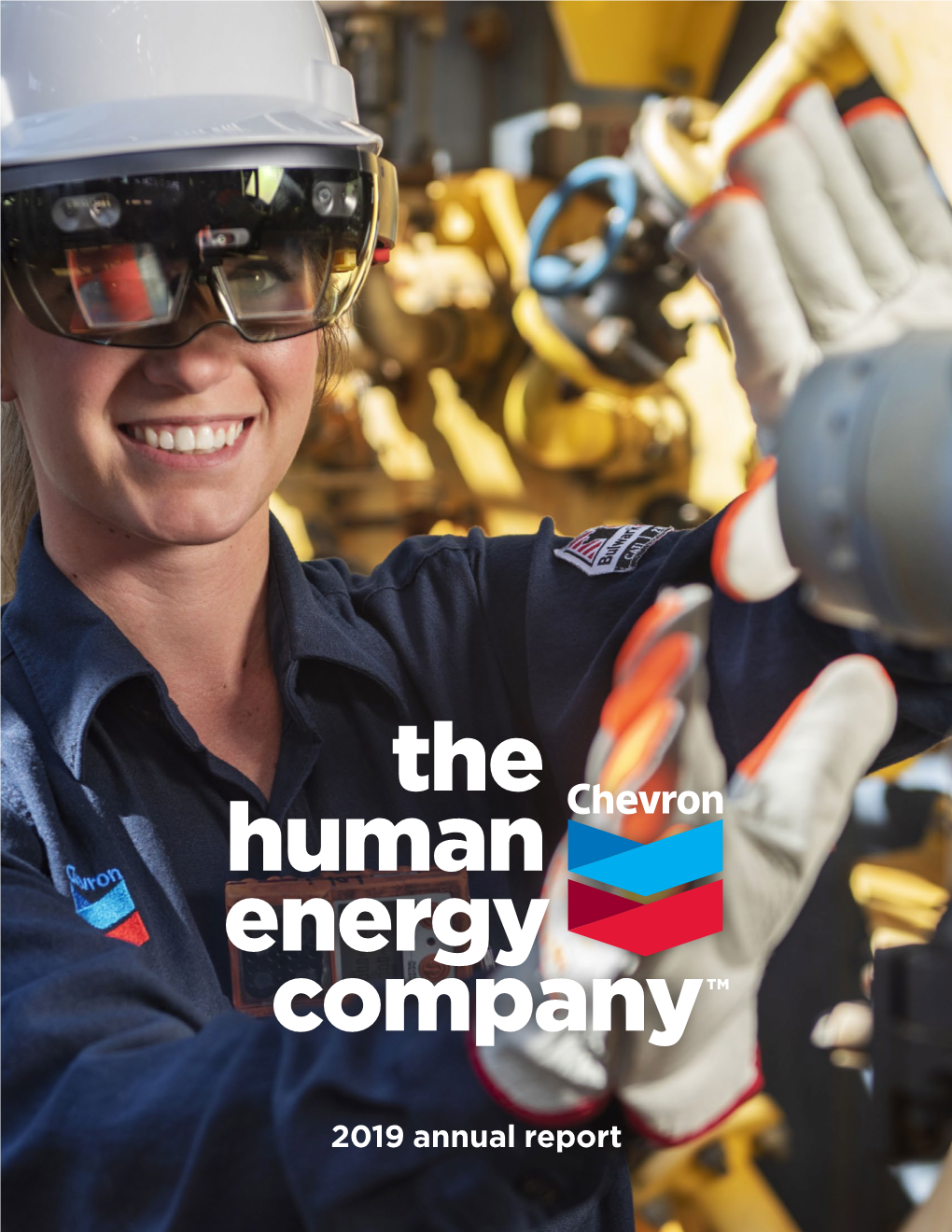 Pdf 2019 Chevron Annual Report