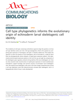 Cell Type Phylogenetics Informs the Evolutionary Origin of Echinoderm Larval Skeletogenic Cell Identity
