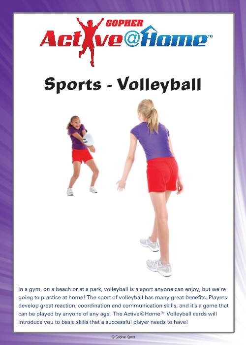 Sports - Volleyball