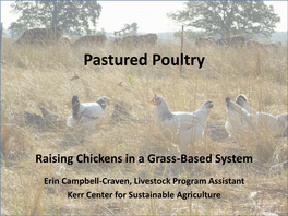 Pastured Poultry Presentation