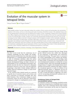 Evolution of the Muscular System in Tetrapod Limbs Tatsuya Hirasawa1* and Shigeru Kuratani1,2