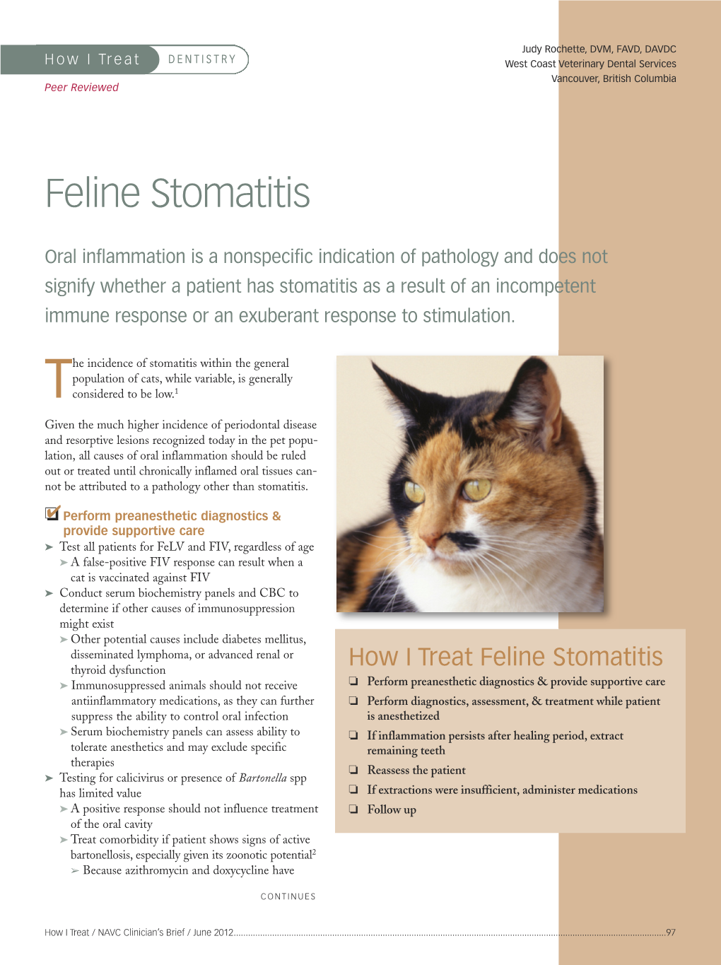 Feline Stomatitis