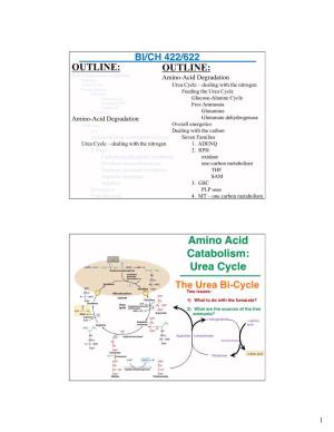 Amino Acid Catabolism: Urea Cycle the Urea Bi-Cycle Two Issues