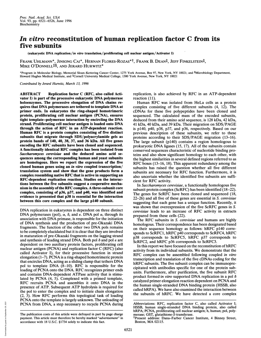 In Vitro Reconstitution of Human Replication Factor C from Its Five Subunits