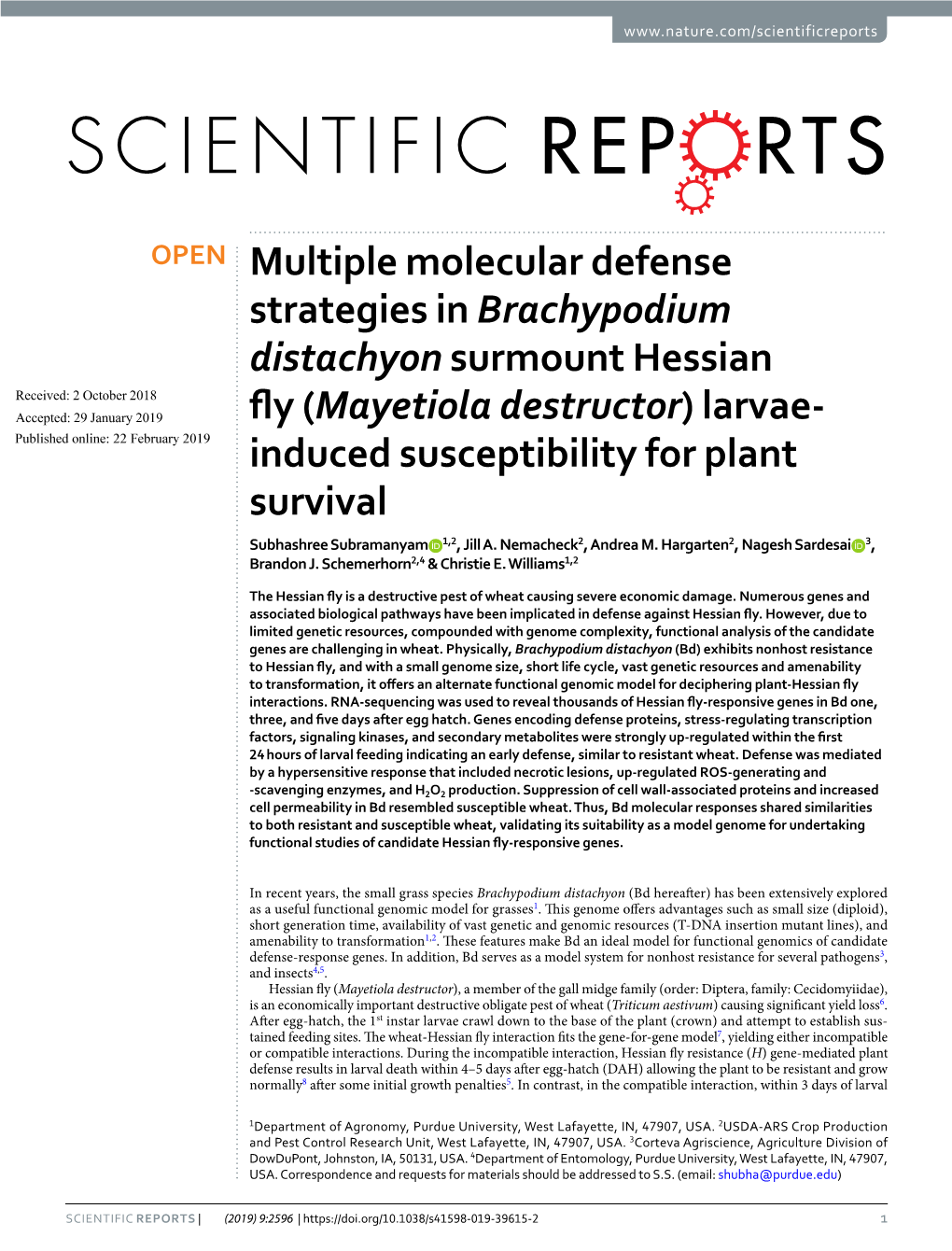 Multiple Molecular Defense Strategies in Brachypodium Distachyon