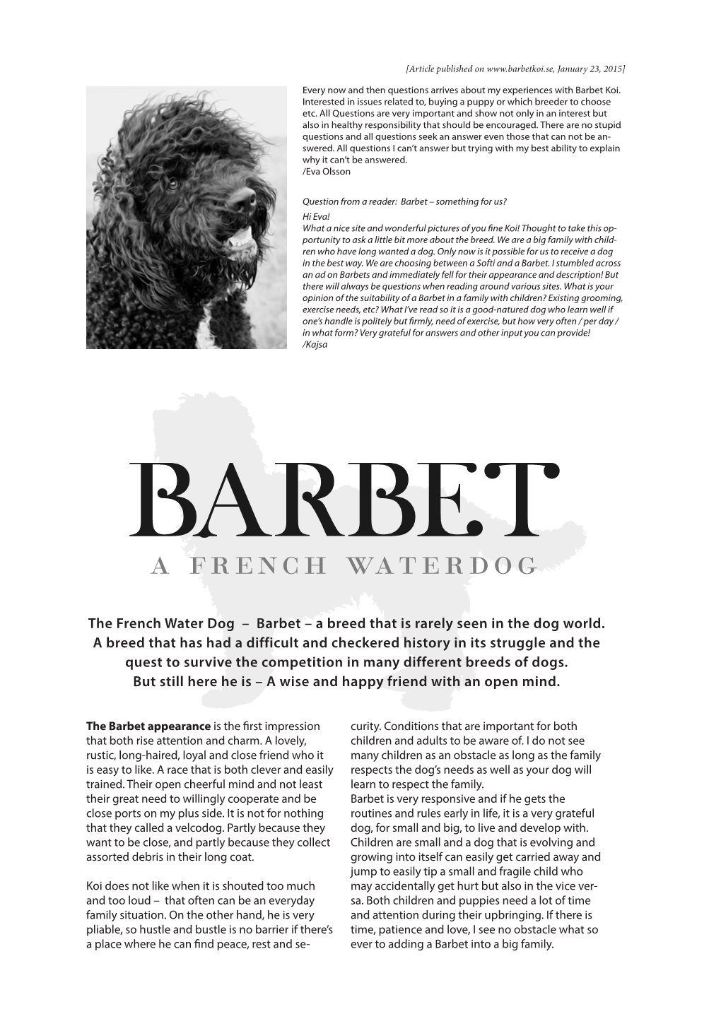 The French Water Dog – Barbet – a Breed That Is Rarely Seen in the Dog World