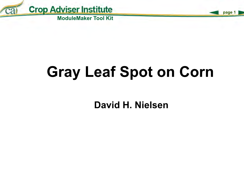 Gray Leaf Spot on Corn