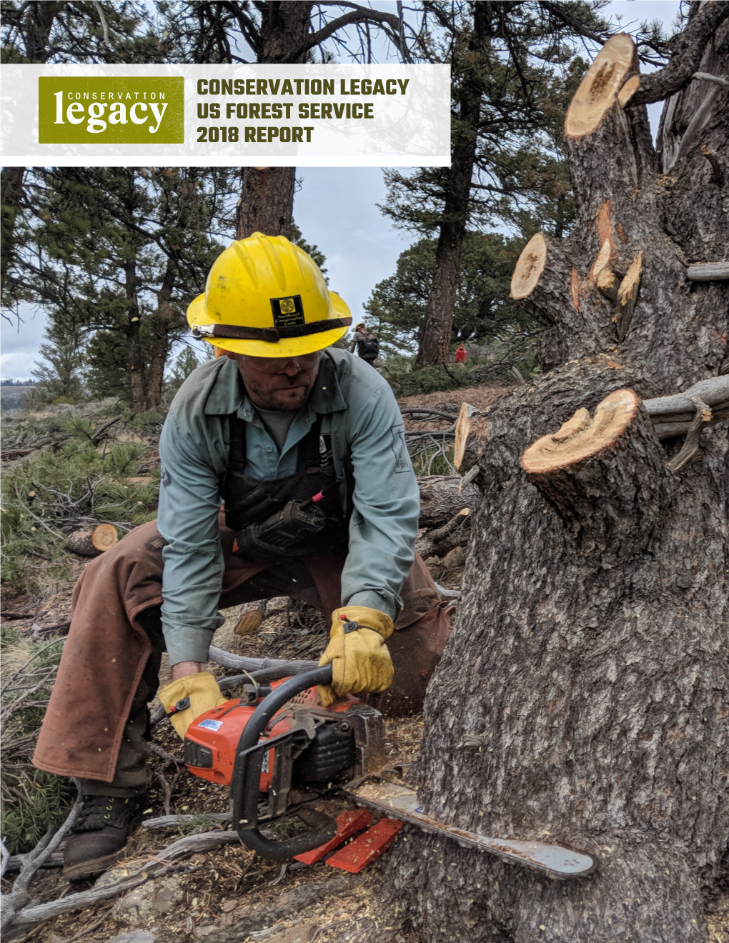 Conservation Legacy Us Forest Service 2018 Report