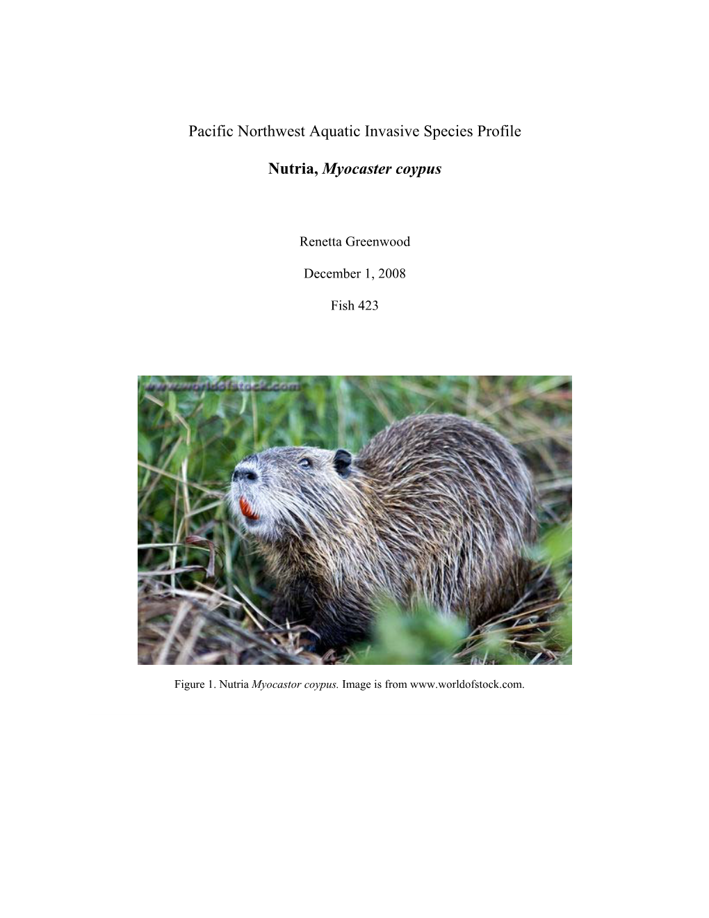 Pacific Northwest Aquatic Invasive Species Profile Nutria, Myocaster