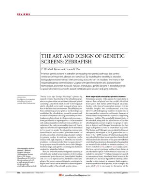 The Art and Design of Genetic Screens: Zebrafish