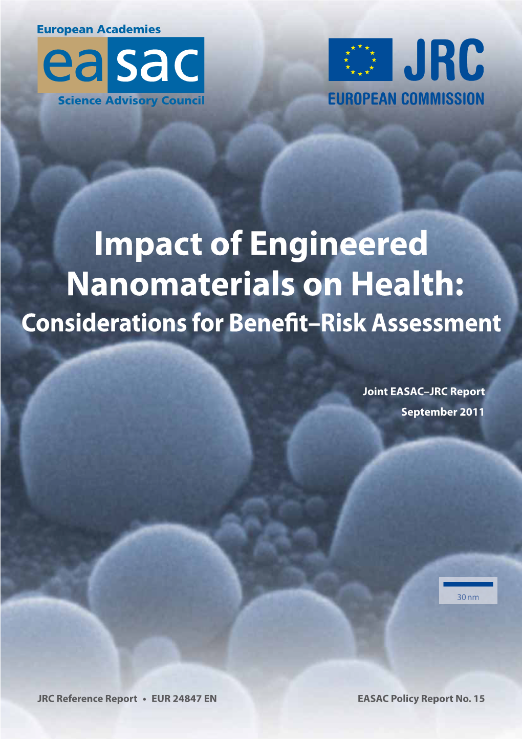 Impact of Engineered Nanomaterials on Health: Considerations for Benefitorisk Assessment