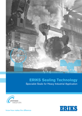 ERIKS Sealing Technology Specialist Seals for Heavy Industrial Application 2 Contents 3