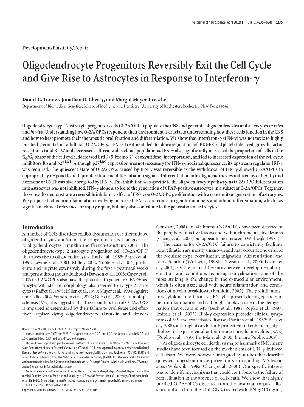 Oligodendrocyte Progenitors Reversibly Exit the Cell Cycle and Give Rise to Astrocytes in Response to Interferon-␥