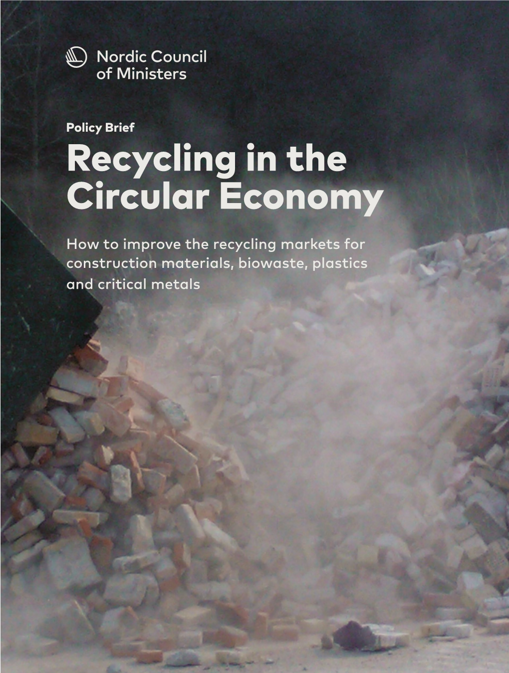 Recycling in the Circular Economy