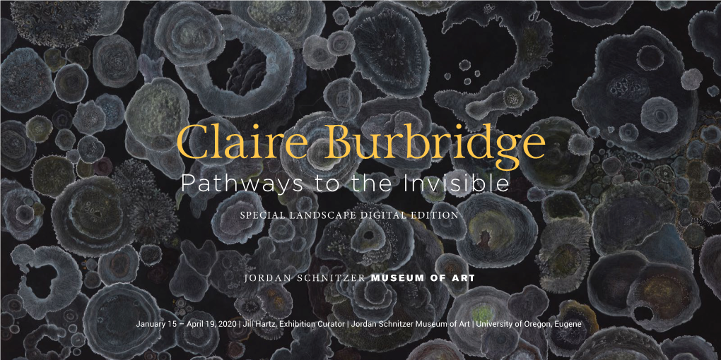 Claire Burbridge: Pathways to the Invisible