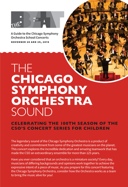 The Chicago Symphony Orchestra Sound Celebrating the 100Th Season of the Cso’S Concert Series for Children