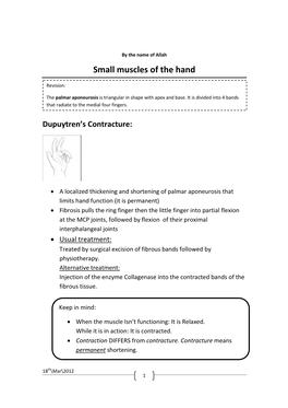 Small Muscles of the Hand