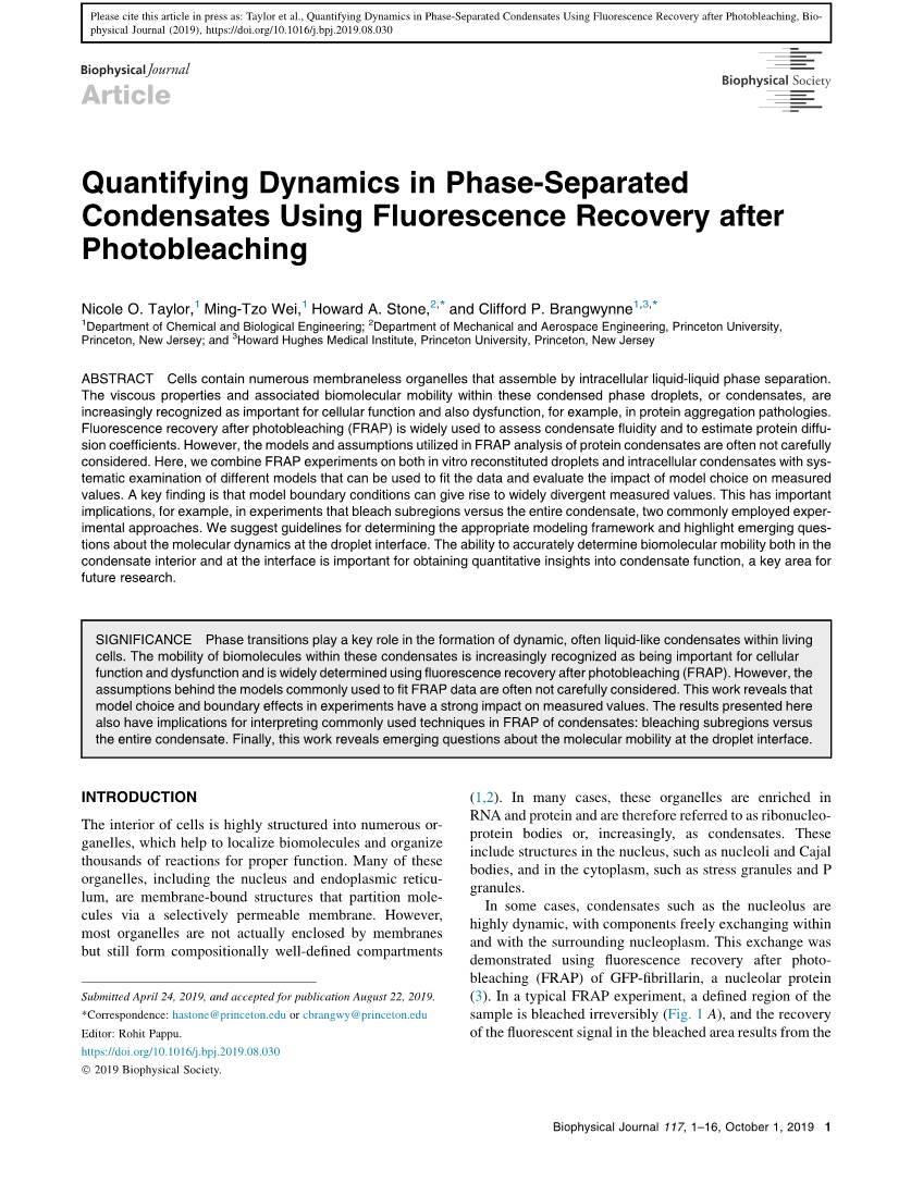 Quantifying Dynamics in Phase-Separated Condensates