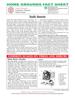 Scale Insects Scales Show Little Resemblance to the Usual Insects