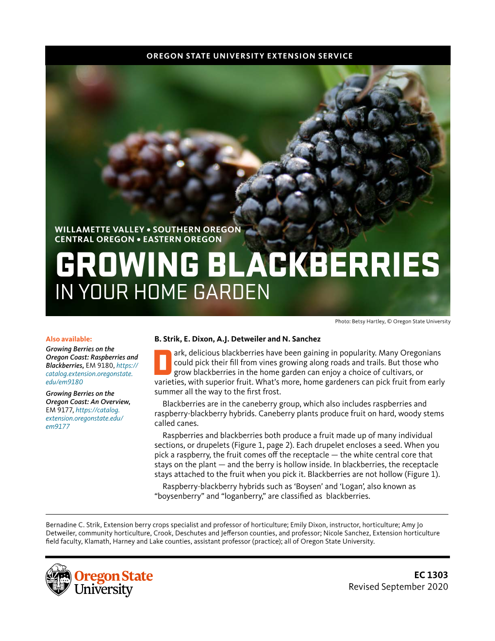 Growing Blackberries in Your Home Garden