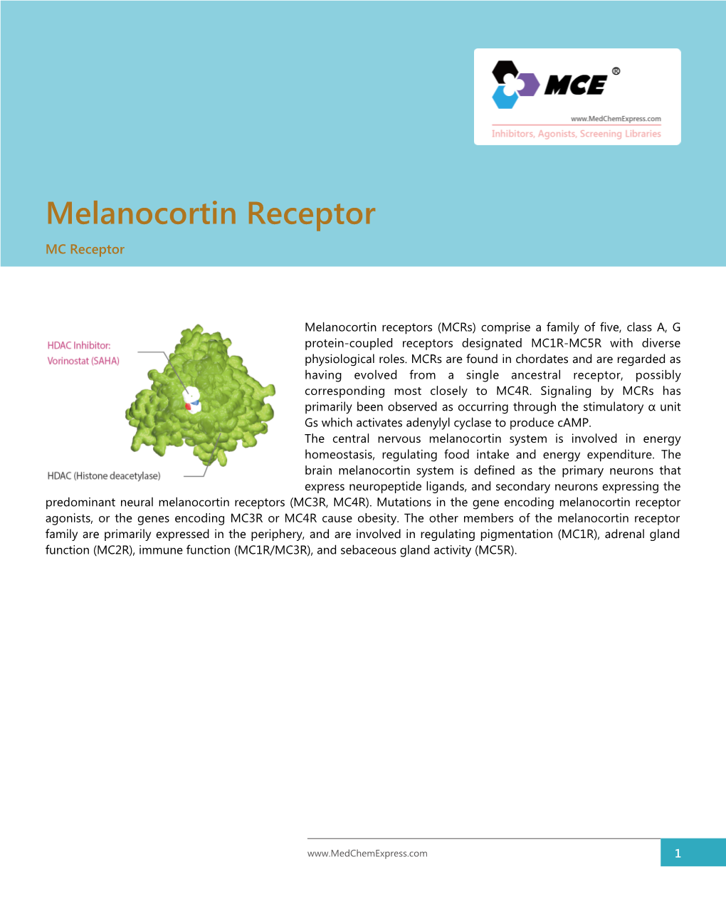 Melanocortin Receptor MC Receptor