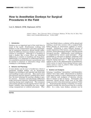 How to Anesthetize Donkeys for Surgical Procedures in the Field