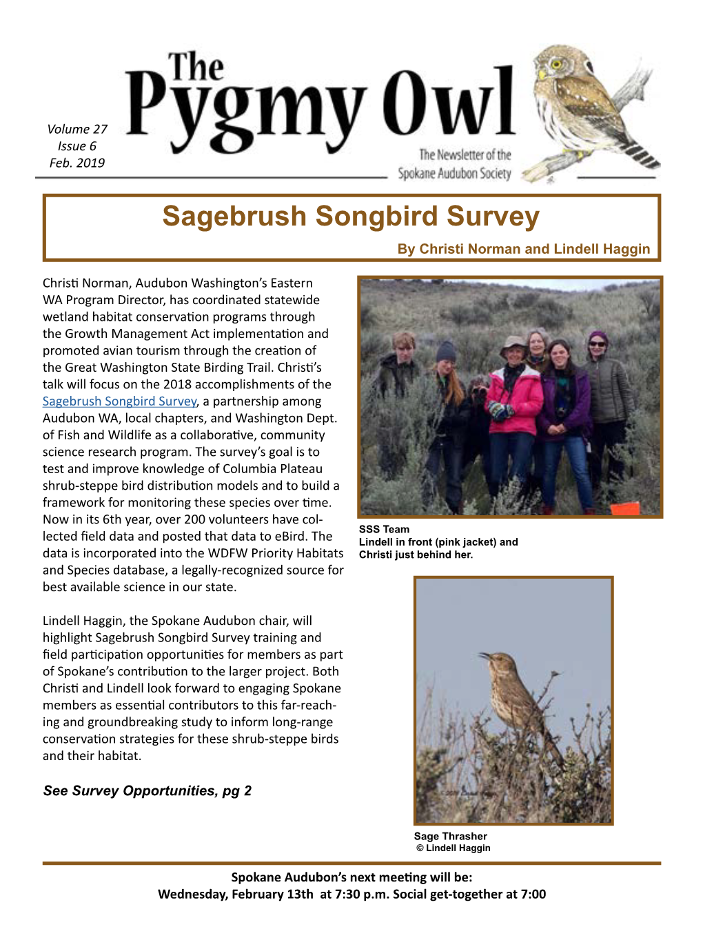 Sagebrush Songbird Survey by Christi Norman and Lindell Haggin
