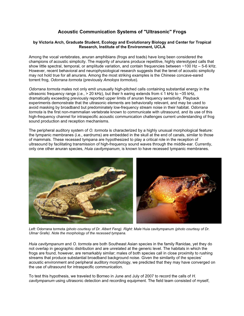 Among the Vocal Vertebrates, Anuran Amphibians (Frogs and Toads) Have