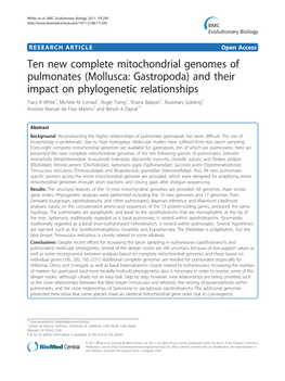 And Their Impact on Phylogenetic Relationships