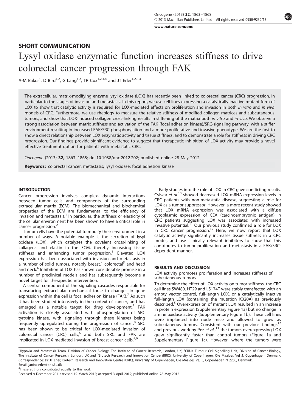 Lysyl Oxidase Enzymatic Function Increases Stiffness to Drive Colorectal Cancer Progression Through FAK