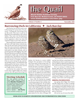 Burrowing Owls in California + Jack Barclay