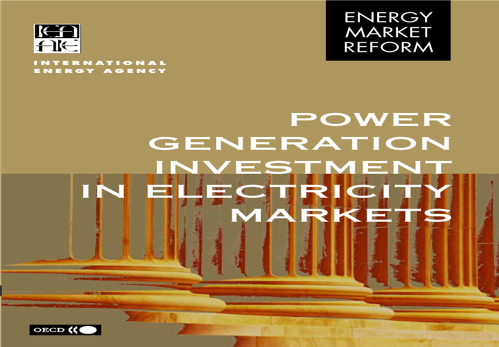 Power Generation Investment in Electricity Markets Investment in Electricity Infrastructure