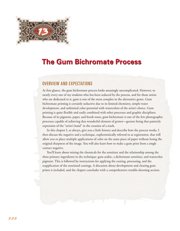 The Gum Bichromate Process