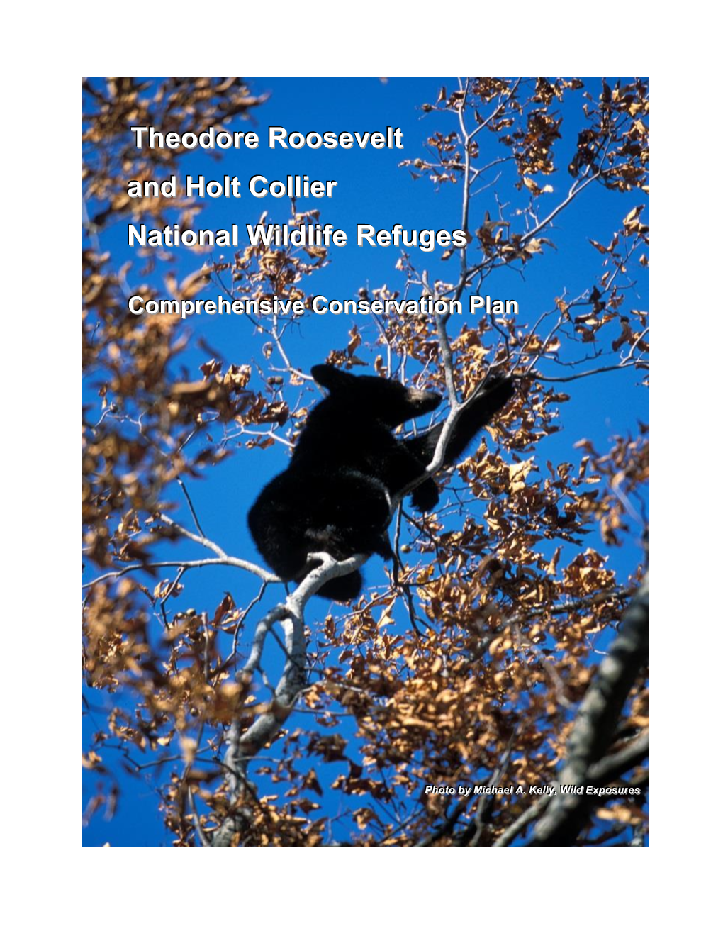 Theodore Roosevelt and Holt Collier National Wildlife Refuges
