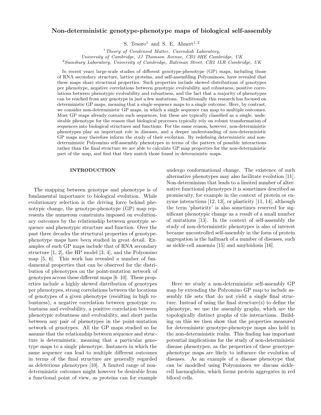 Non-Deterministic Genotype-Phenotype Maps of Biological Self-Assembly