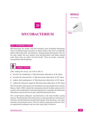 Lesson 20. Mycobacterium